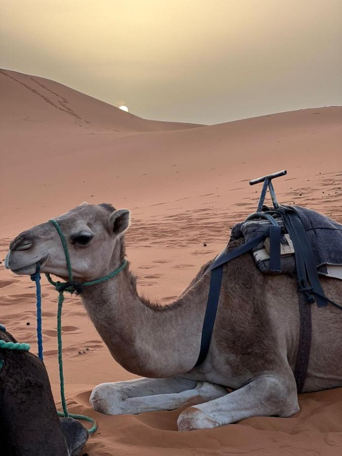 מרזאוגה Riad Aicha & Camel Trekking מראה חיצוני תמונה
