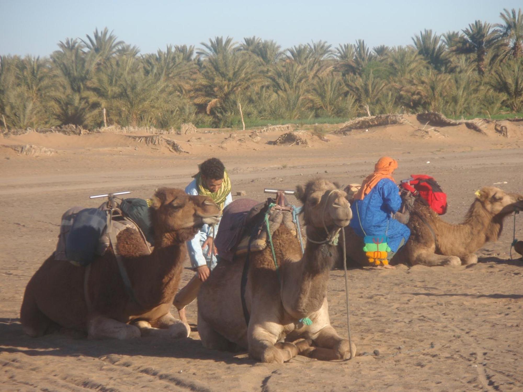 מרזאוגה Riad Aicha & Camel Trekking מראה חיצוני תמונה