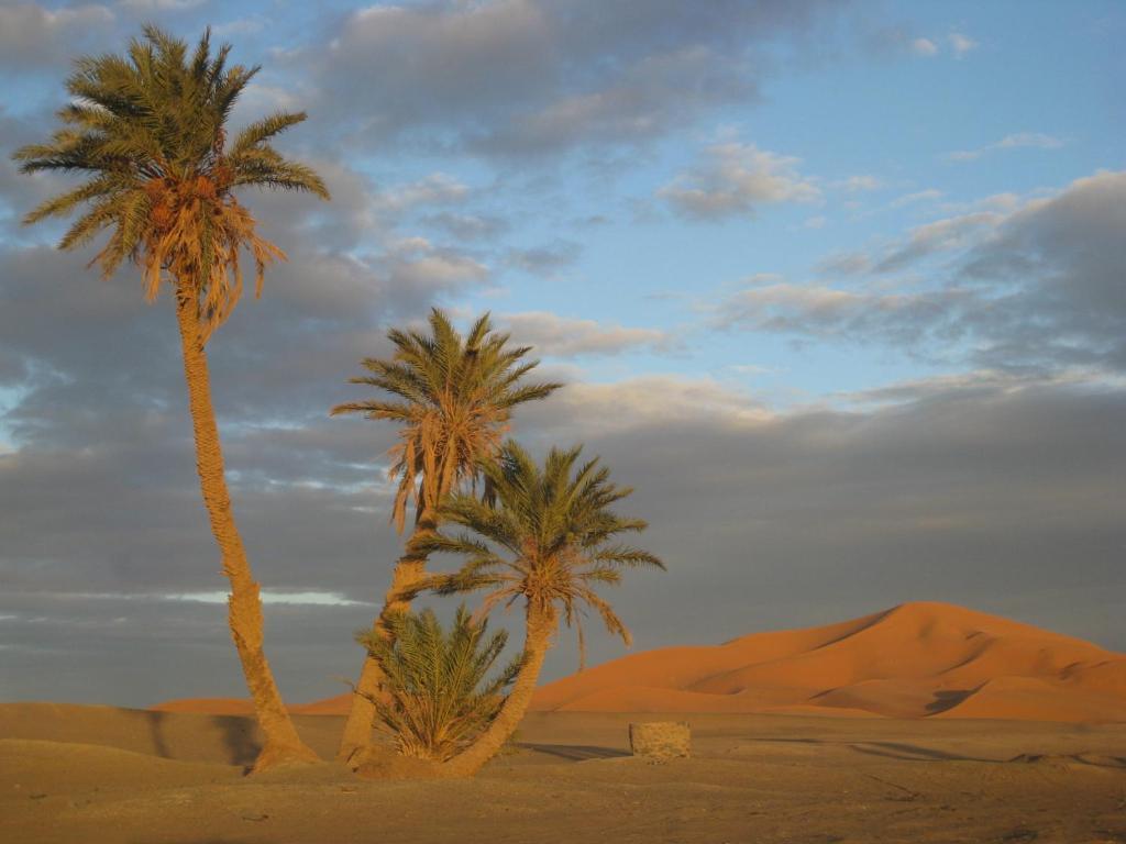 מרזאוגה Riad Aicha & Camel Trekking מראה חיצוני תמונה
